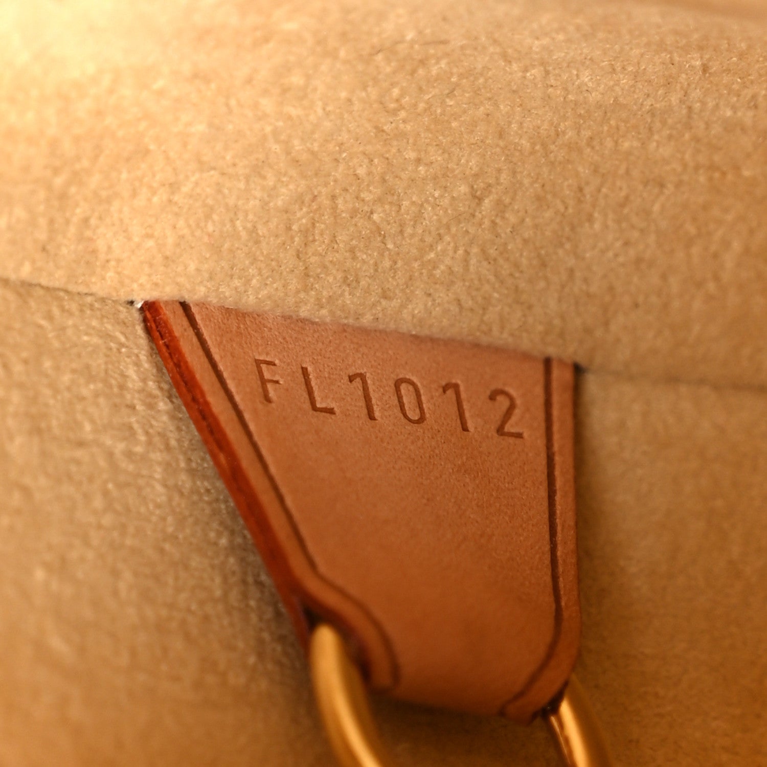Louis Vuitton Monogram Cite GM
