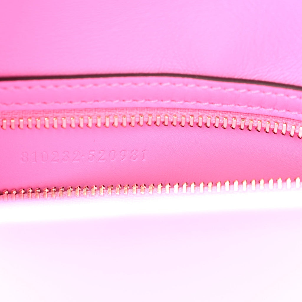 Gucci Ancora Calfskin Web Medium Jackie 1961 Hobo Pink