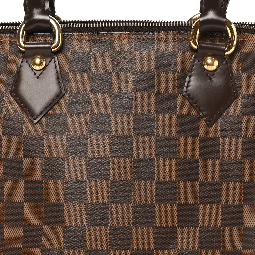 Louis Vuitton Damier Ebene Saleya PM