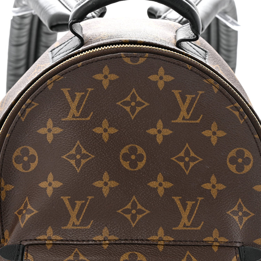 Louis Vuitton Monogram Palm Springs Backpack PM