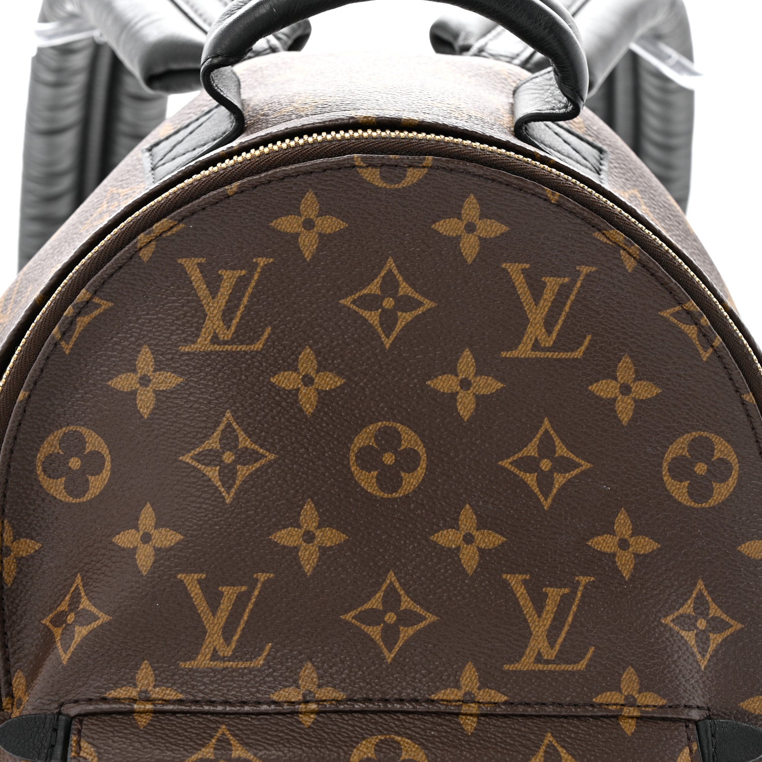 Louis Vuitton Monogram Palm Springs Backpack PM