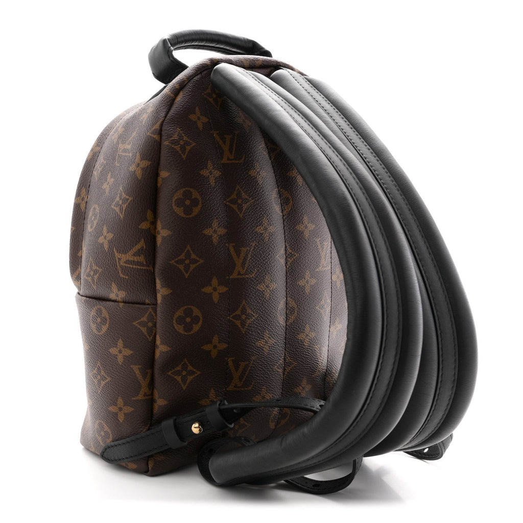 Louis Vuitton Reverse Monogram Palm Springs Backpack PM