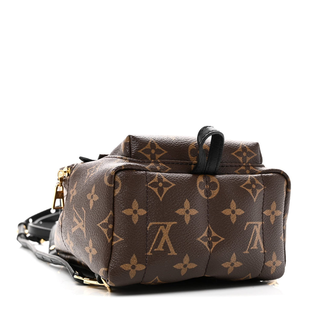 Louis Vuitton Monogram Palm Springs Backpack Mini