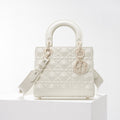 Dior Bags - 4900