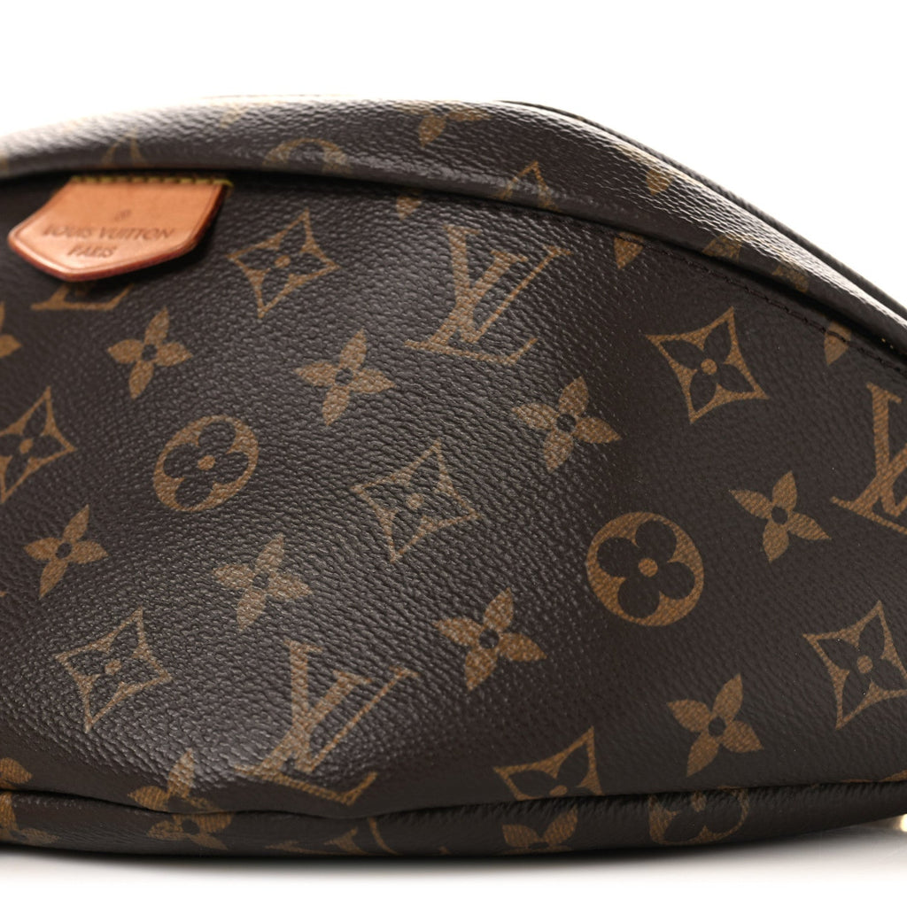 Louis Vuitton Monogram Bumbag
