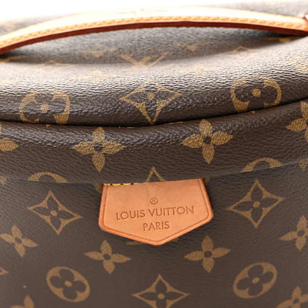 Louis Vuitton Monogram Bumbag
