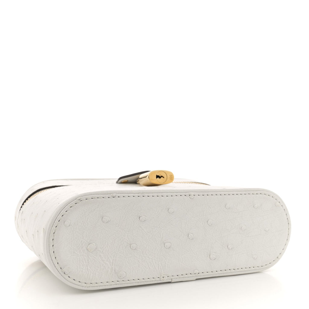 Louis Vuitton Ostrich Vanity Chain Pouch
