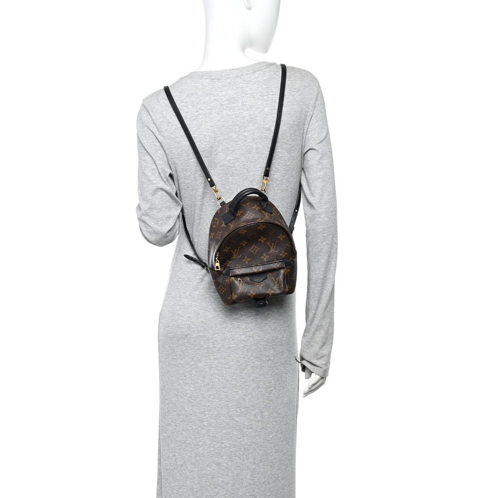 Louis Vuitton Monogram Palm Springs Backpack Mini