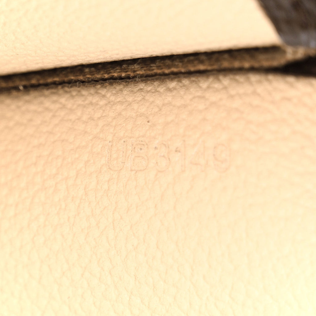 Louis Vuitton Monogram Toiletry Pouch 19