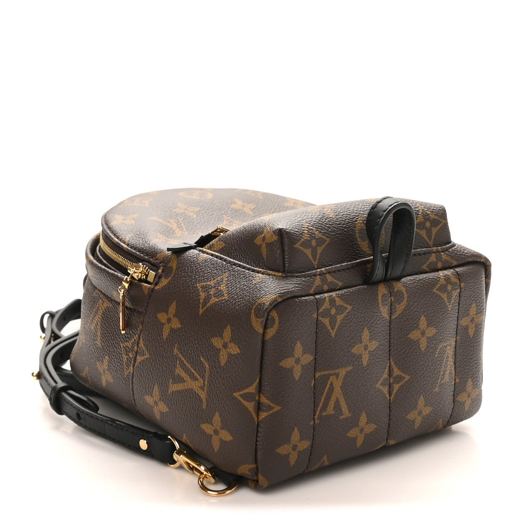 Louis Vuitton Monogram Palm Springs Backpack Mini