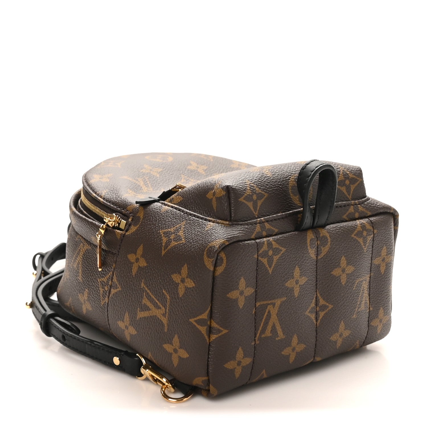Louis Vuitton Monogram Palm Springs Backpack Mini