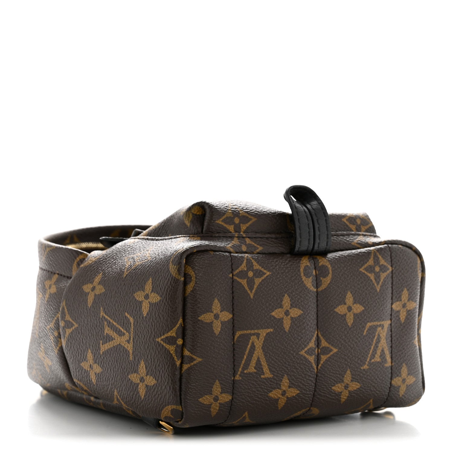 Louis Vuitton Monogram Palm Springs Backpack Mini