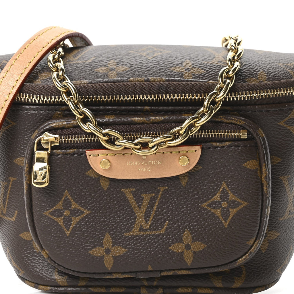 Louis Vuitton Monogram Mini Bumbag