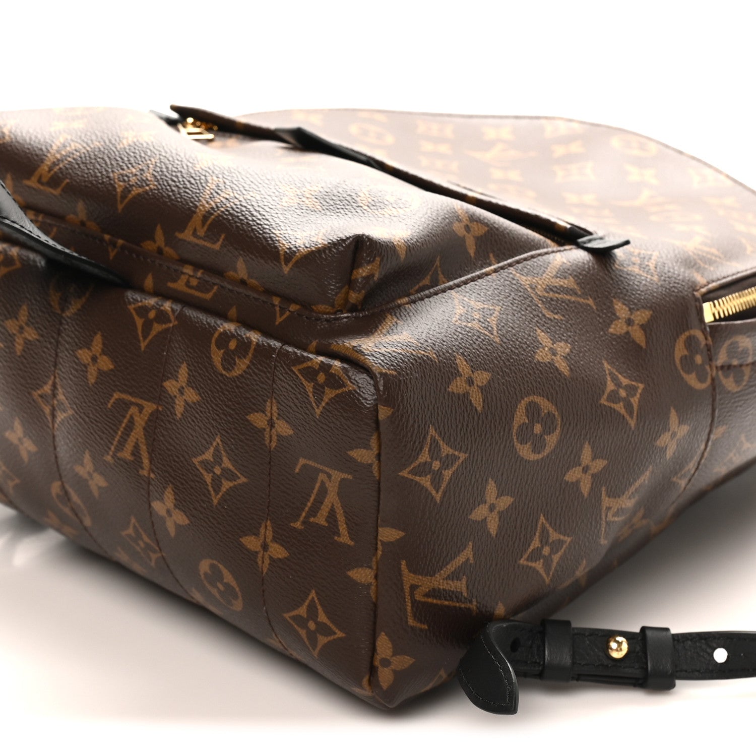Louis Vuitton Monogram Palm Springs Backpack MM