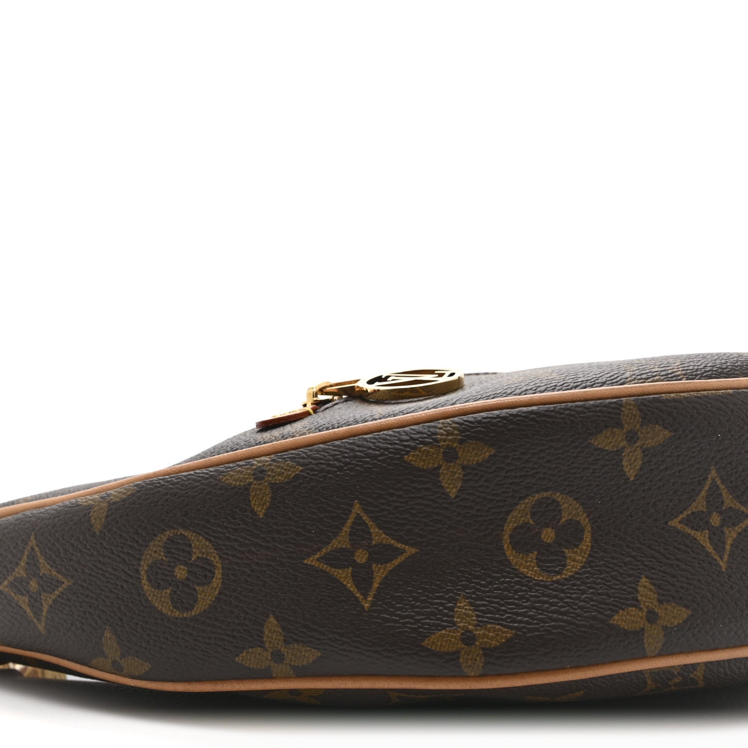 Louis Vuitton Monogram Loop
