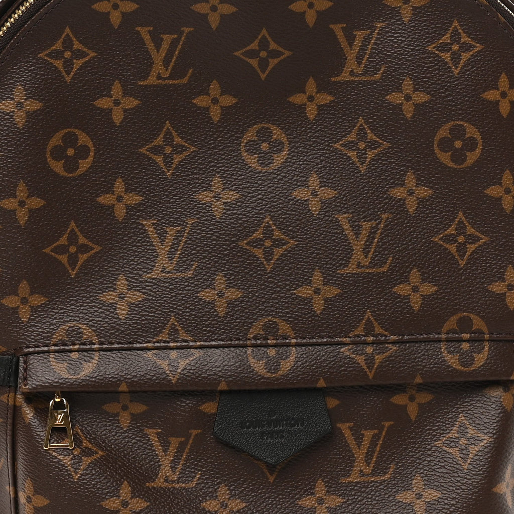 Louis Vuitton Monogram Palm Springs Backpack MM
