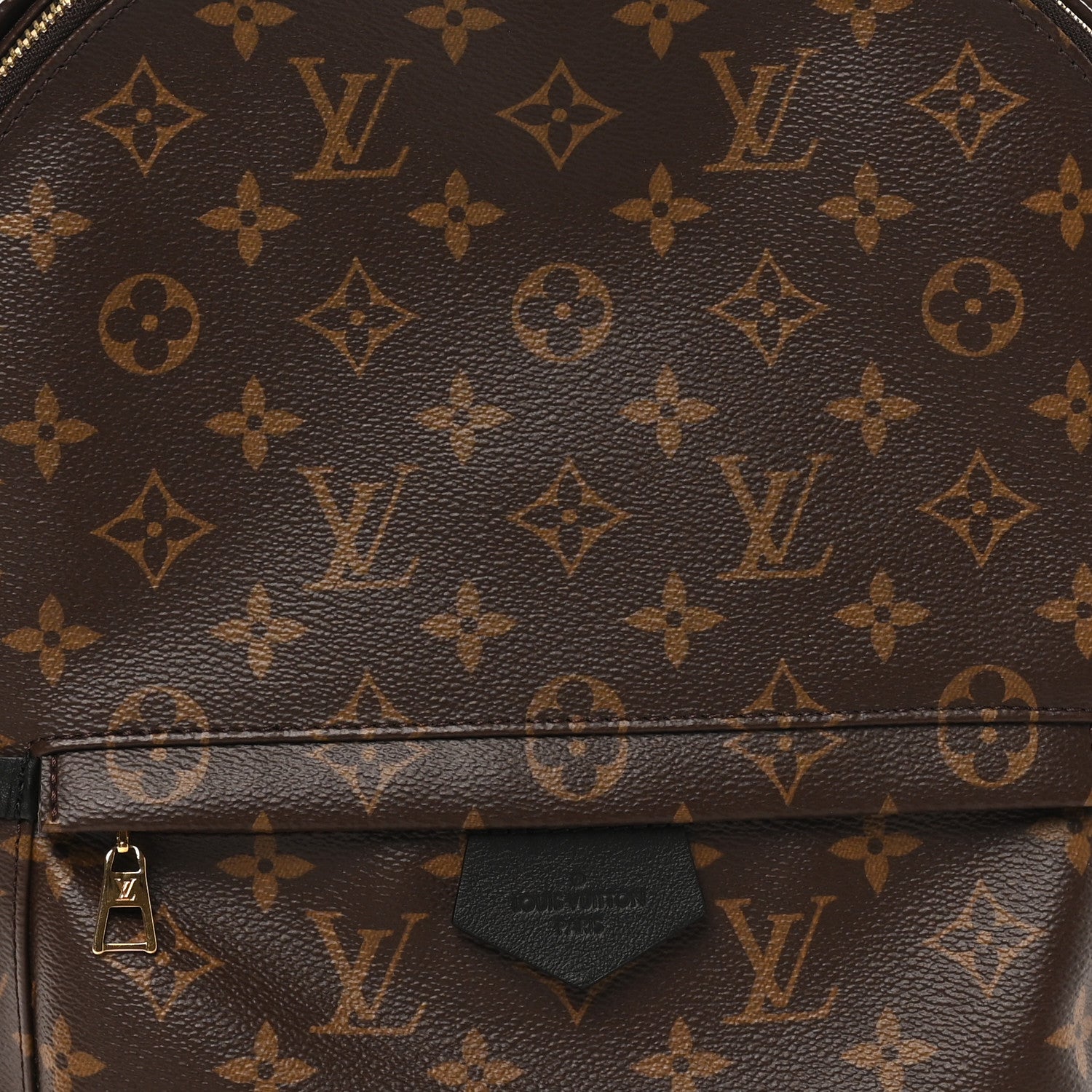 Louis Vuitton Monogram Palm Springs Backpack MM