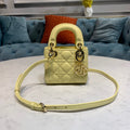 Dior Bag