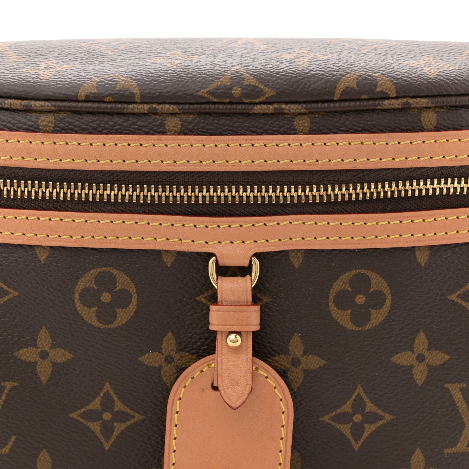 Louis Vuitton Monogram High Rise Bumbag
