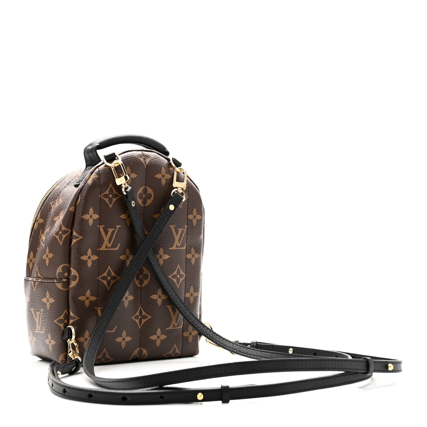 Louis Vuitton Monogram Palm Springs Backpack Mini