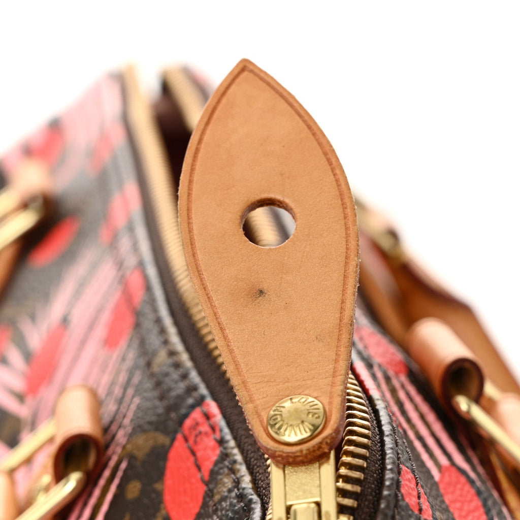 Louis Vuitton Monogram Jungle Dots Speedy 30 Sugar Pink Poppy