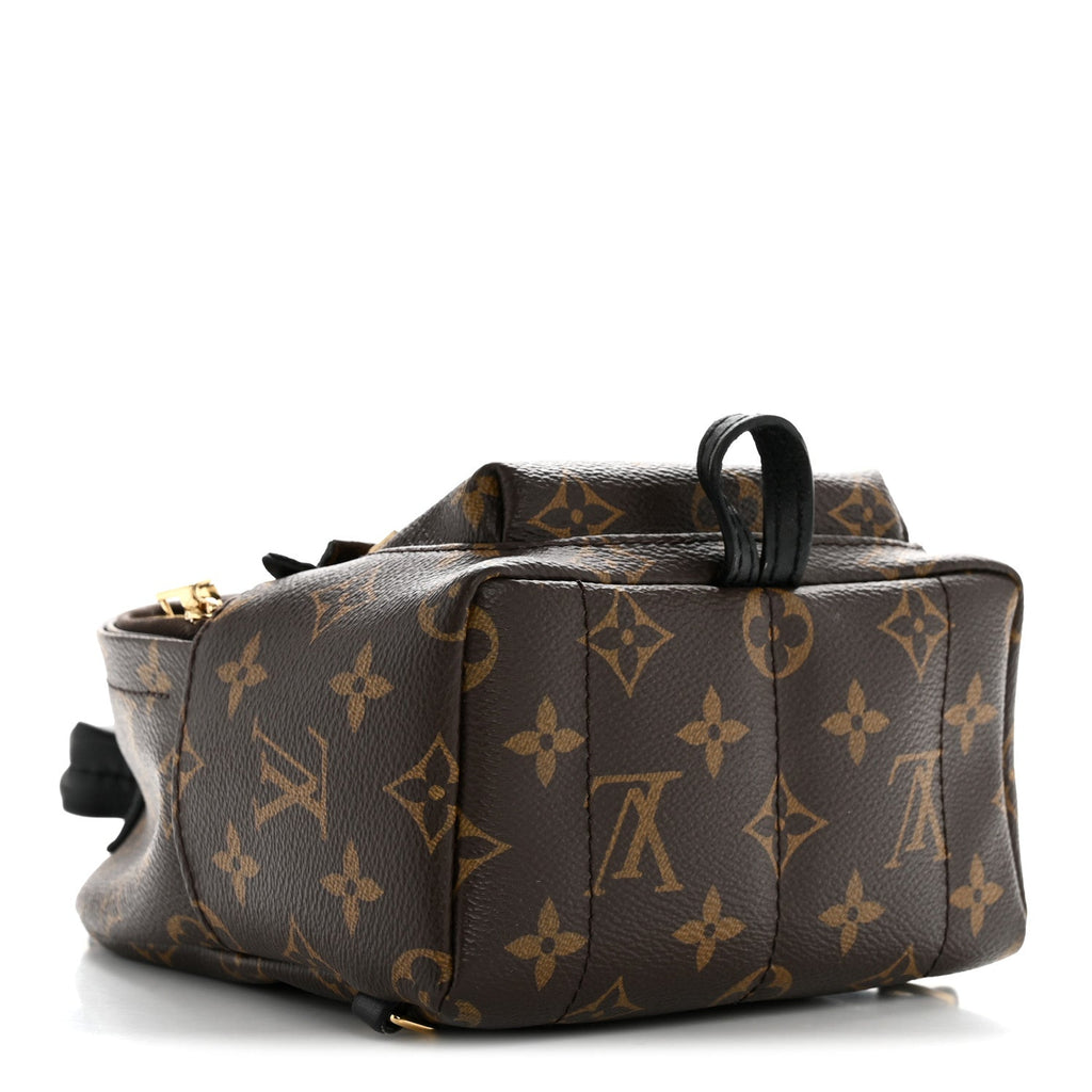 Louis Vuitton Monogram Palm Springs Backpack Mini
