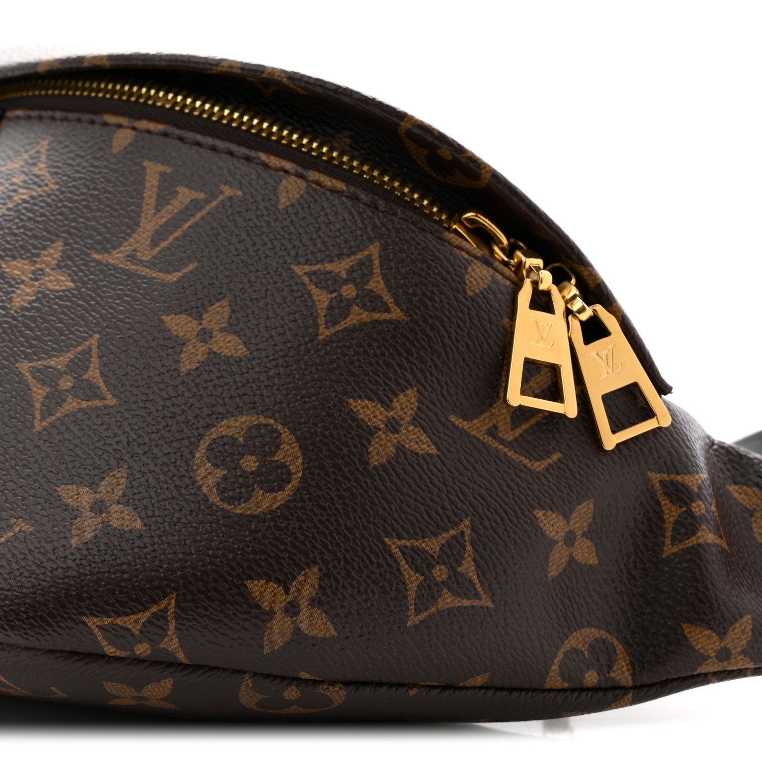 Louis Vuitton Monogram My LV World Tour Bumbag