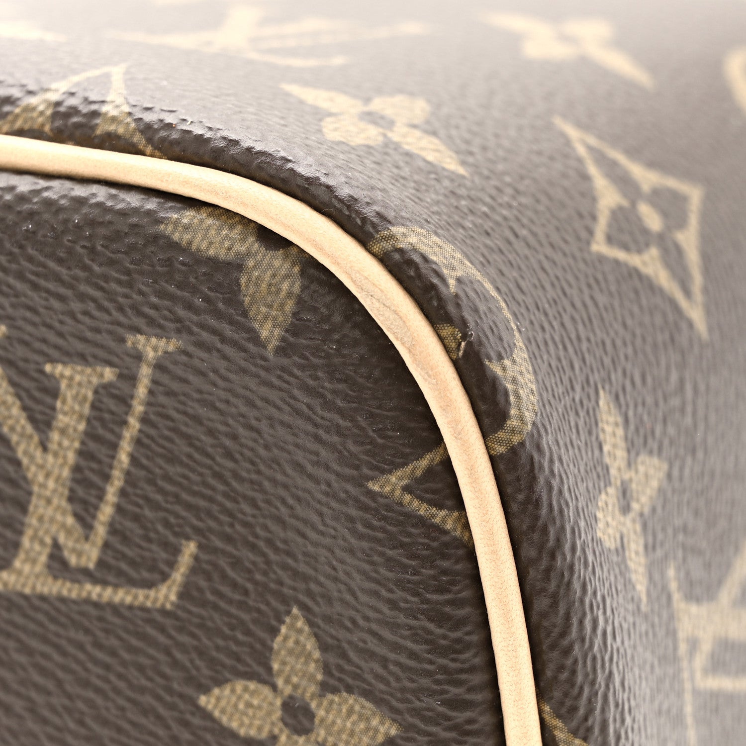 Louis Vuitton Monogram Nice BB