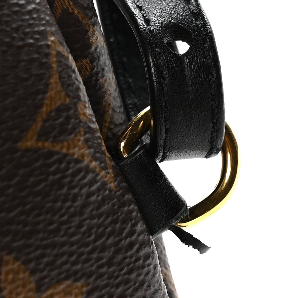Louis Vuitton Monogram Palm Springs Backpack Mini