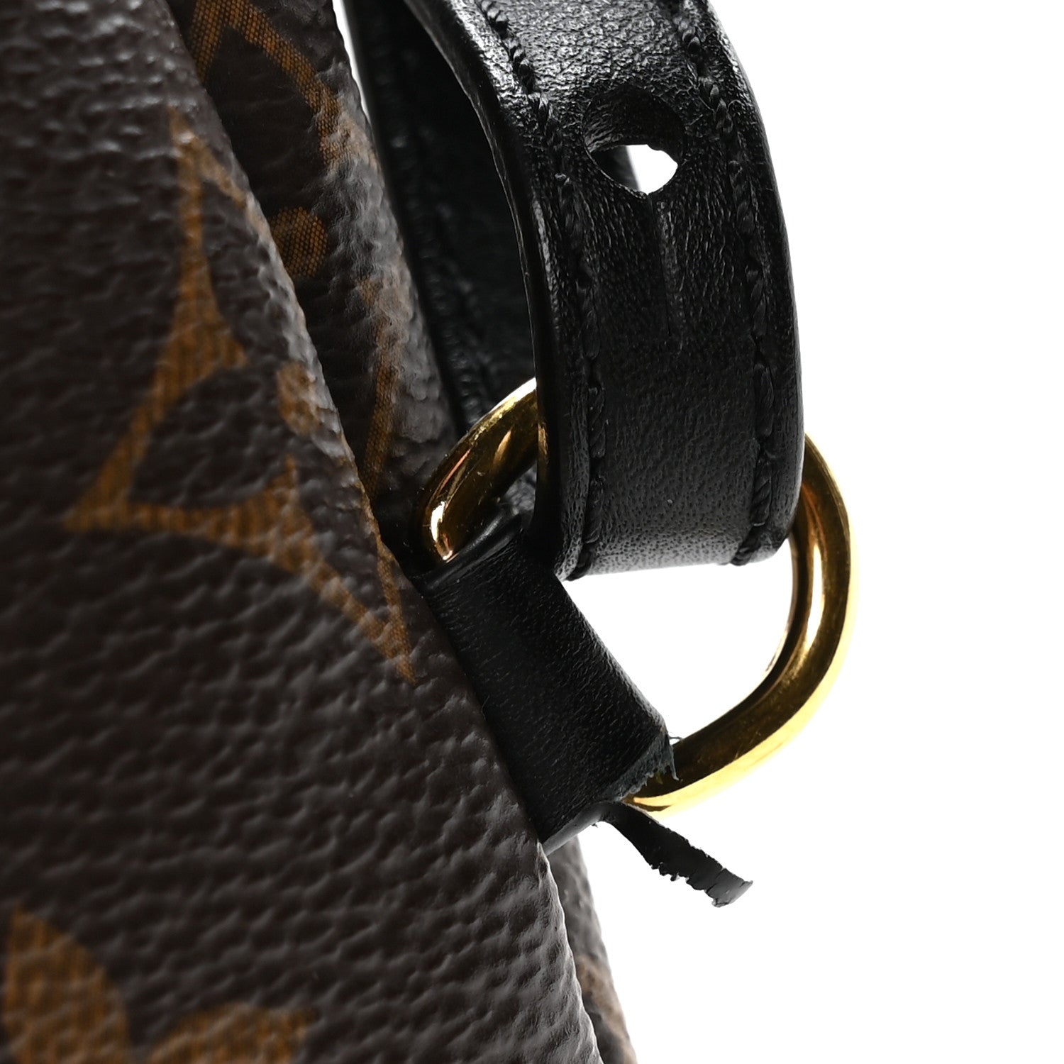 Louis Vuitton Monogram Palm Springs Backpack Mini