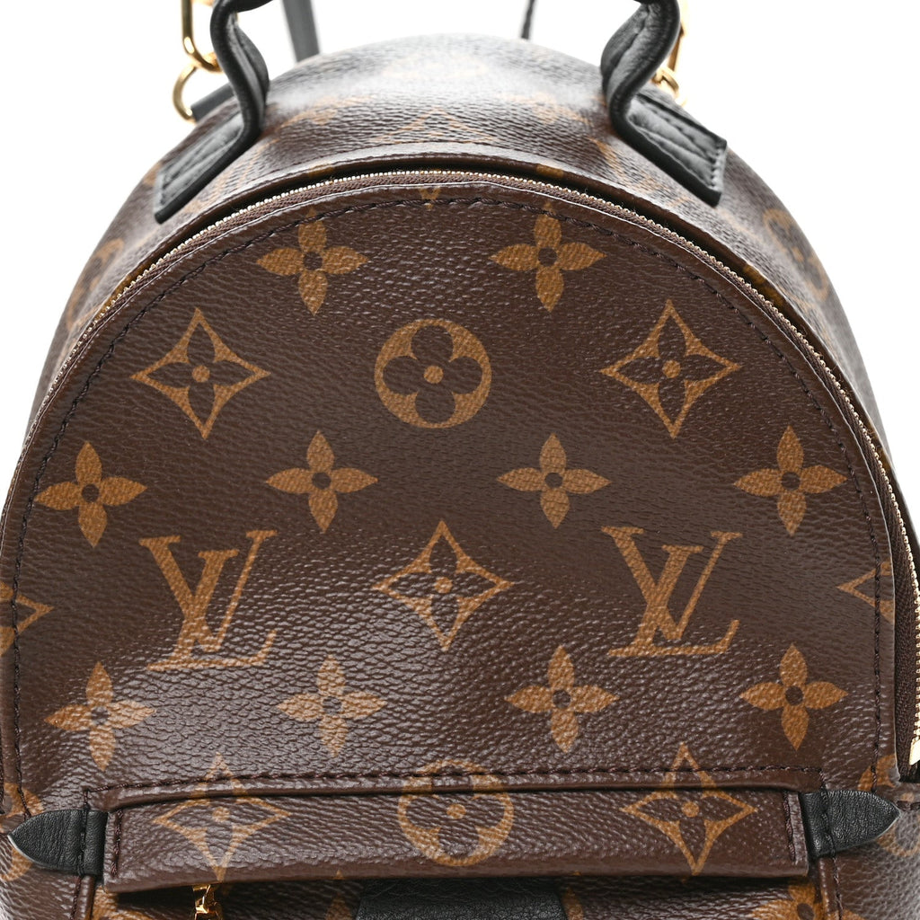 Louis Vuitton Monogram Palm Springs Backpack Mini