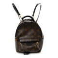 Louis Vuitton Monogram Palm Springs Backpack Mini