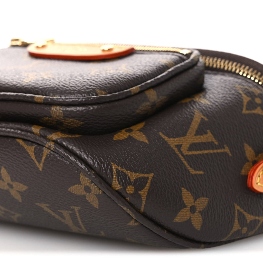 Louis Vuitton Monogram Mini Bumbag
