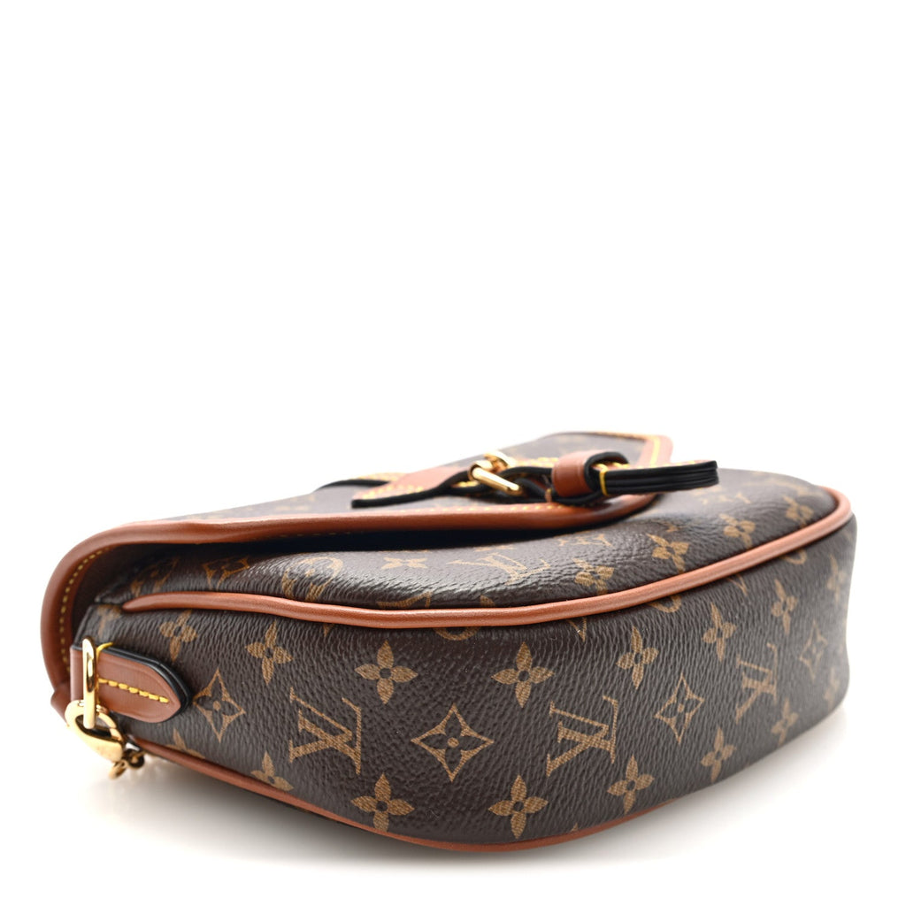 Louis Vuitton Monogram Solo