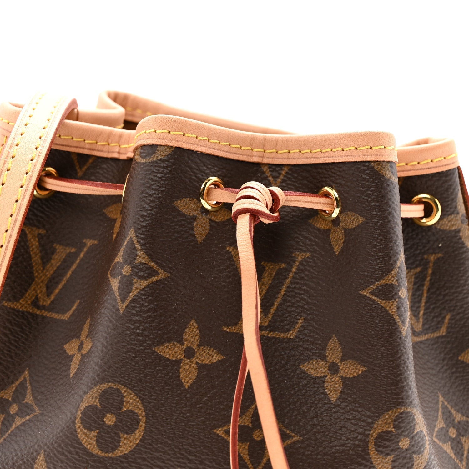 Louis Vuitton Monogram Nano Noe