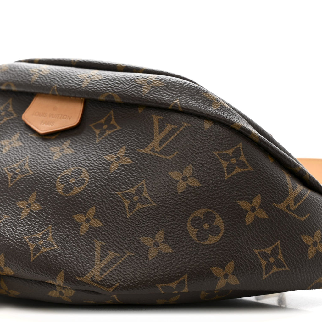 Louis Vuitton Monogram Bumbag