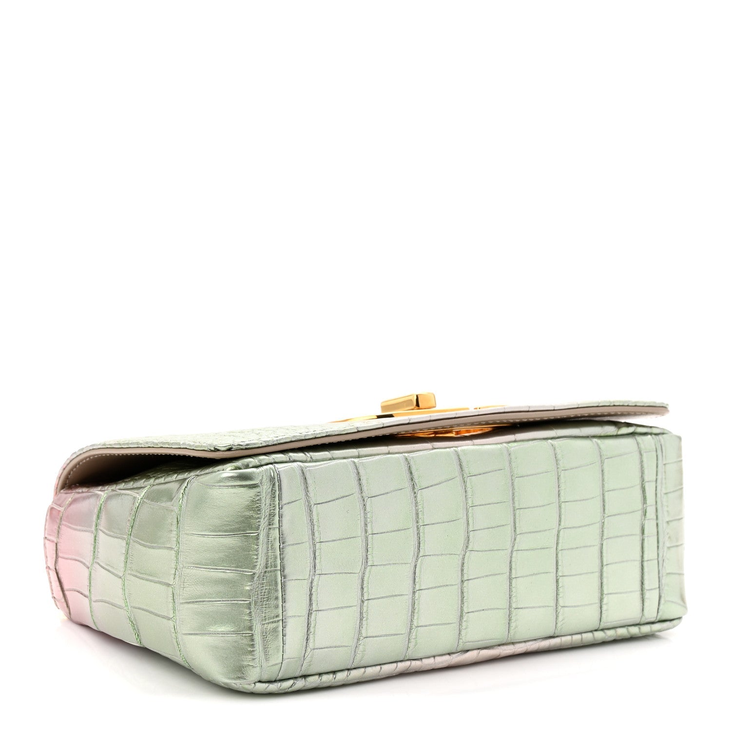 Christian Dior Metallic Alligator Small Caro Bag Multicolor