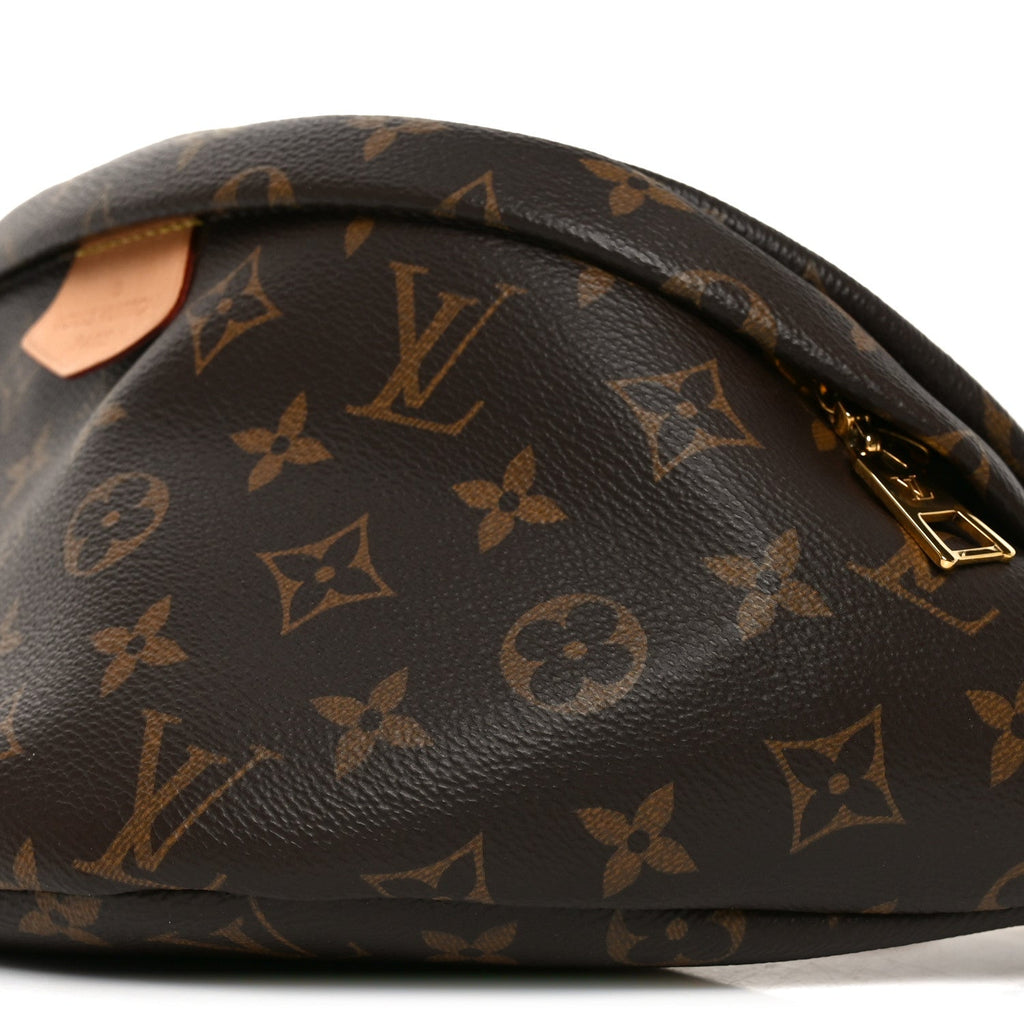 Louis Vuitton Monogram Bumbag