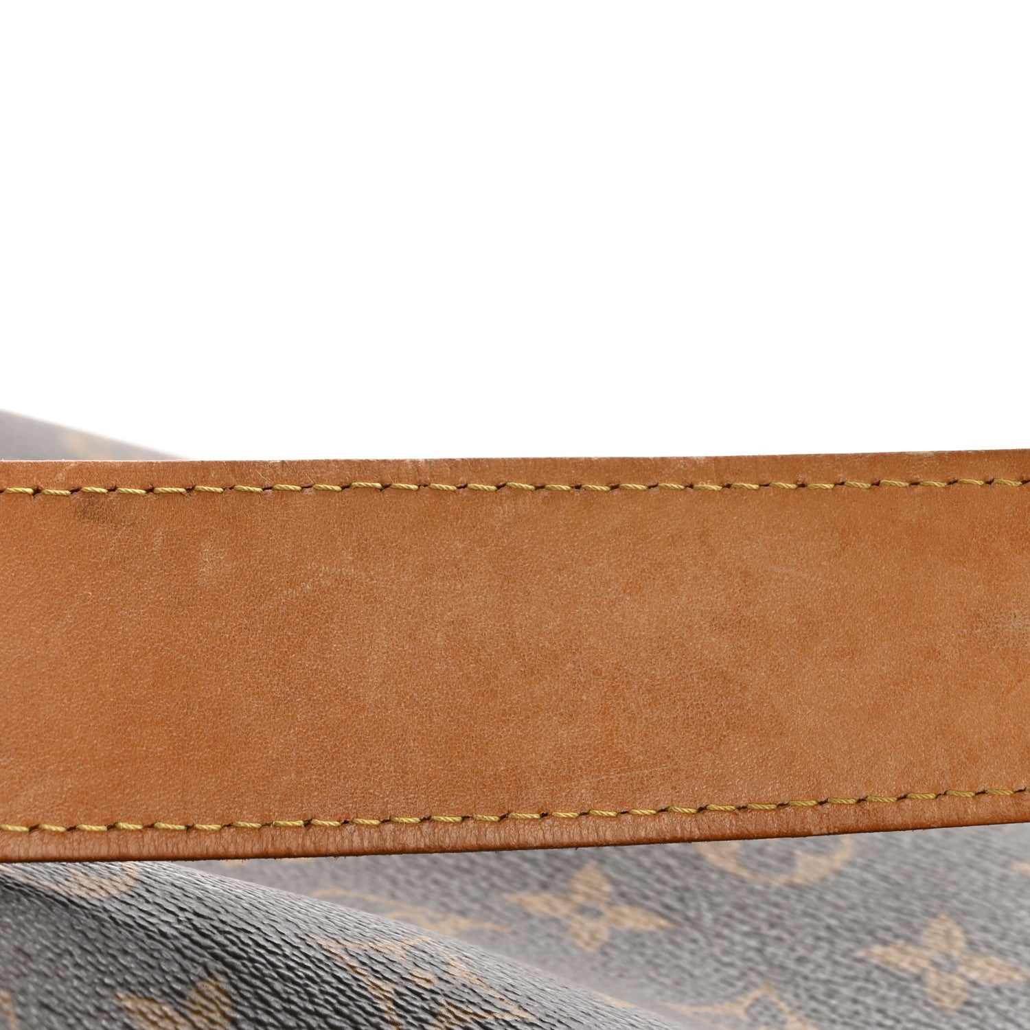 Louis Vuitton Monogram Delightful GM