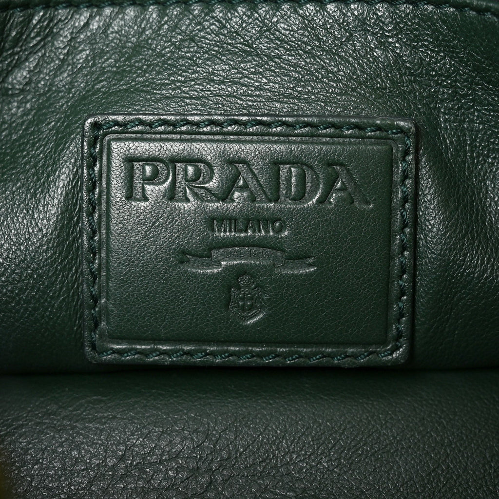 Prada Nappa Trembled Blossoms Stripes Shoulder Bag Viola Alloro