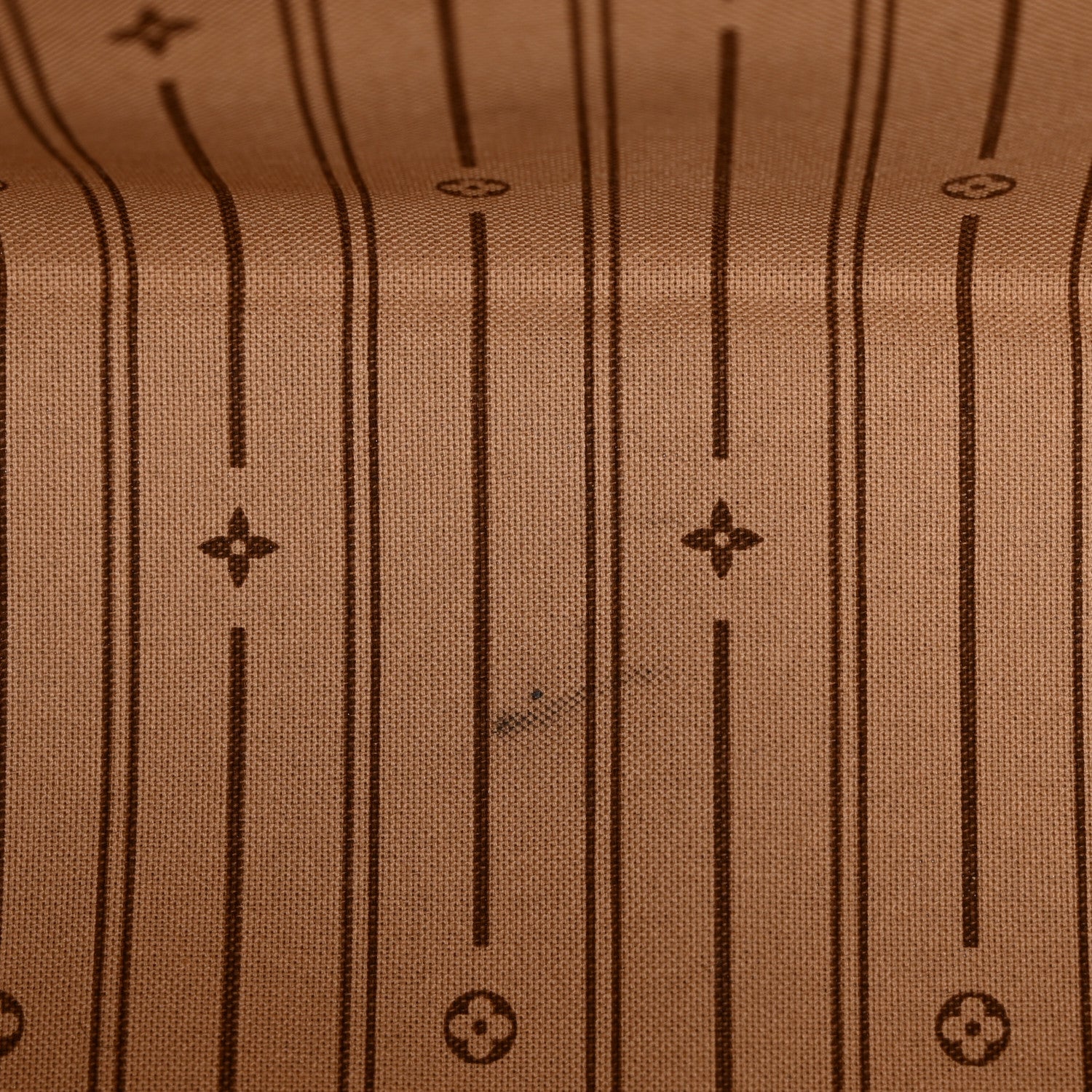 Louis Vuitton Monogram Delightful PM