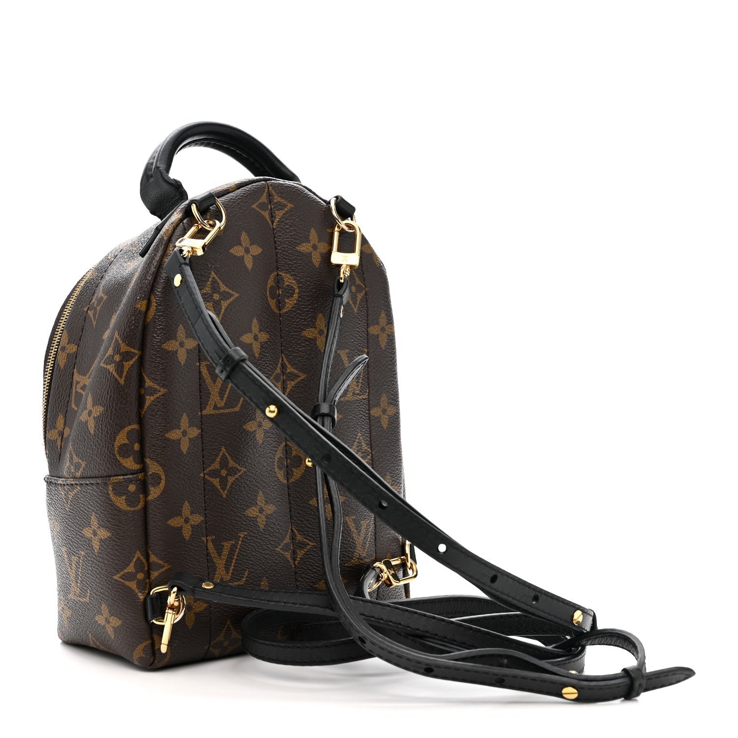Louis Vuitton Monogram Palm Springs Backpack Mini