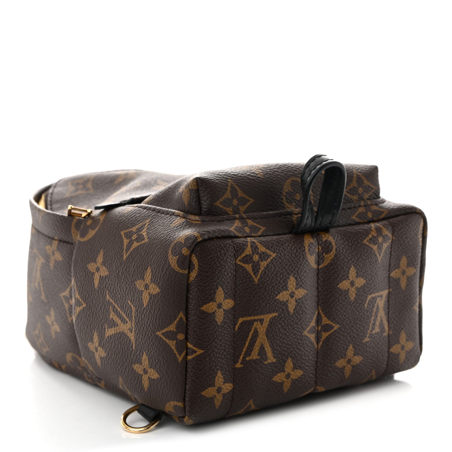 Louis Vuitton Monogram Palm Springs Backpack Mini