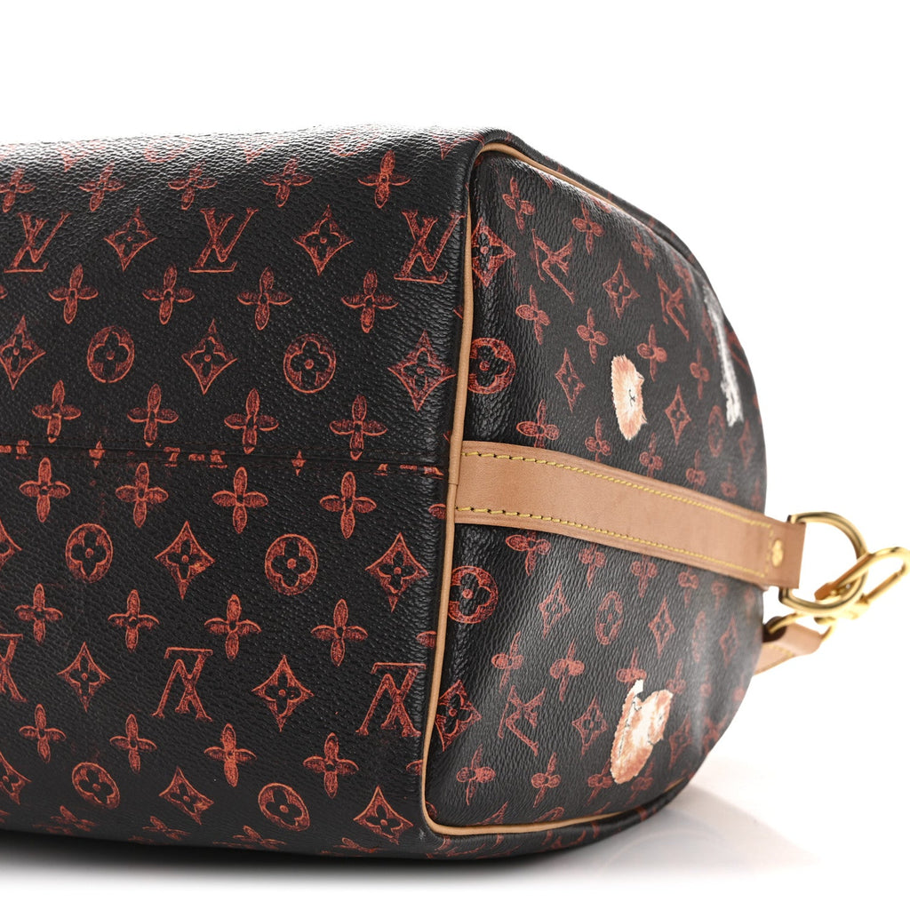 Louis Vuitton Catogram Speedy Bandouliere 30 Marron