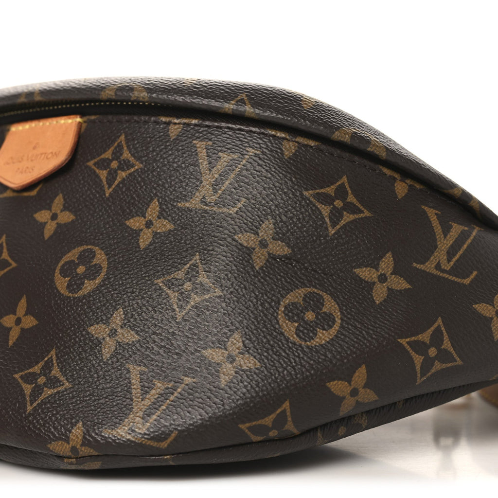 Louis Vuitton Monogram Bumbag