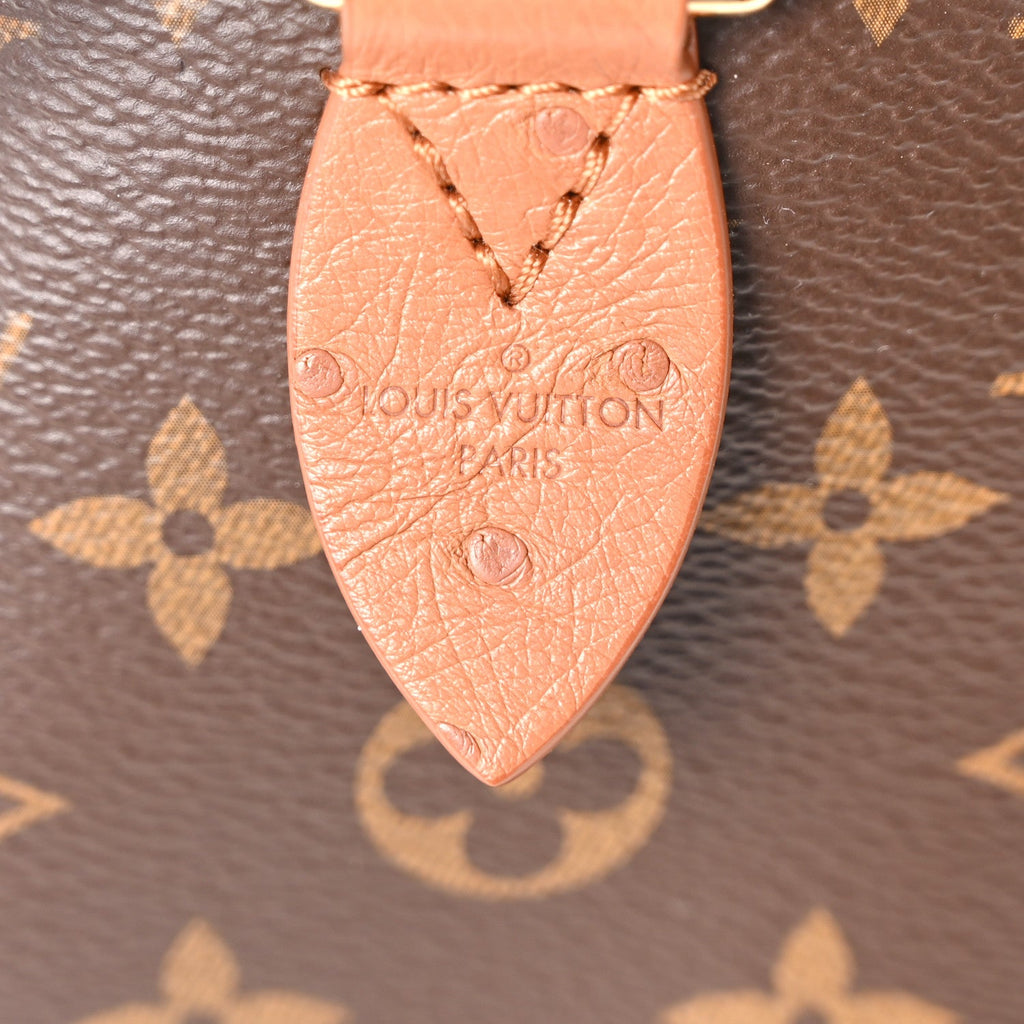 Louis Vuitton Monogram Speedy Soft 30 Boho