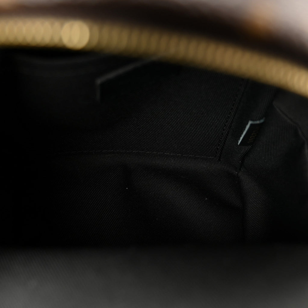 Louis Vuitton Monogram Palm Springs Backpack Mini