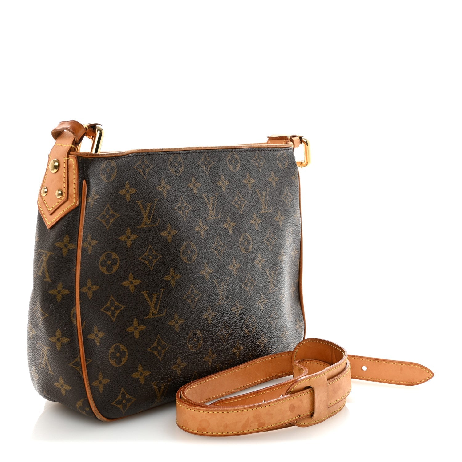 Louis Vuitton Monogram Hudson GM