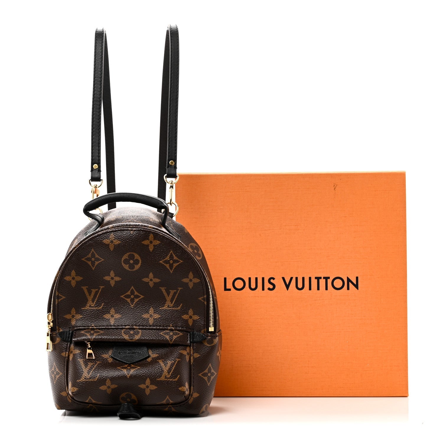 Louis Vuitton Monogram Palm Springs Backpack Mini