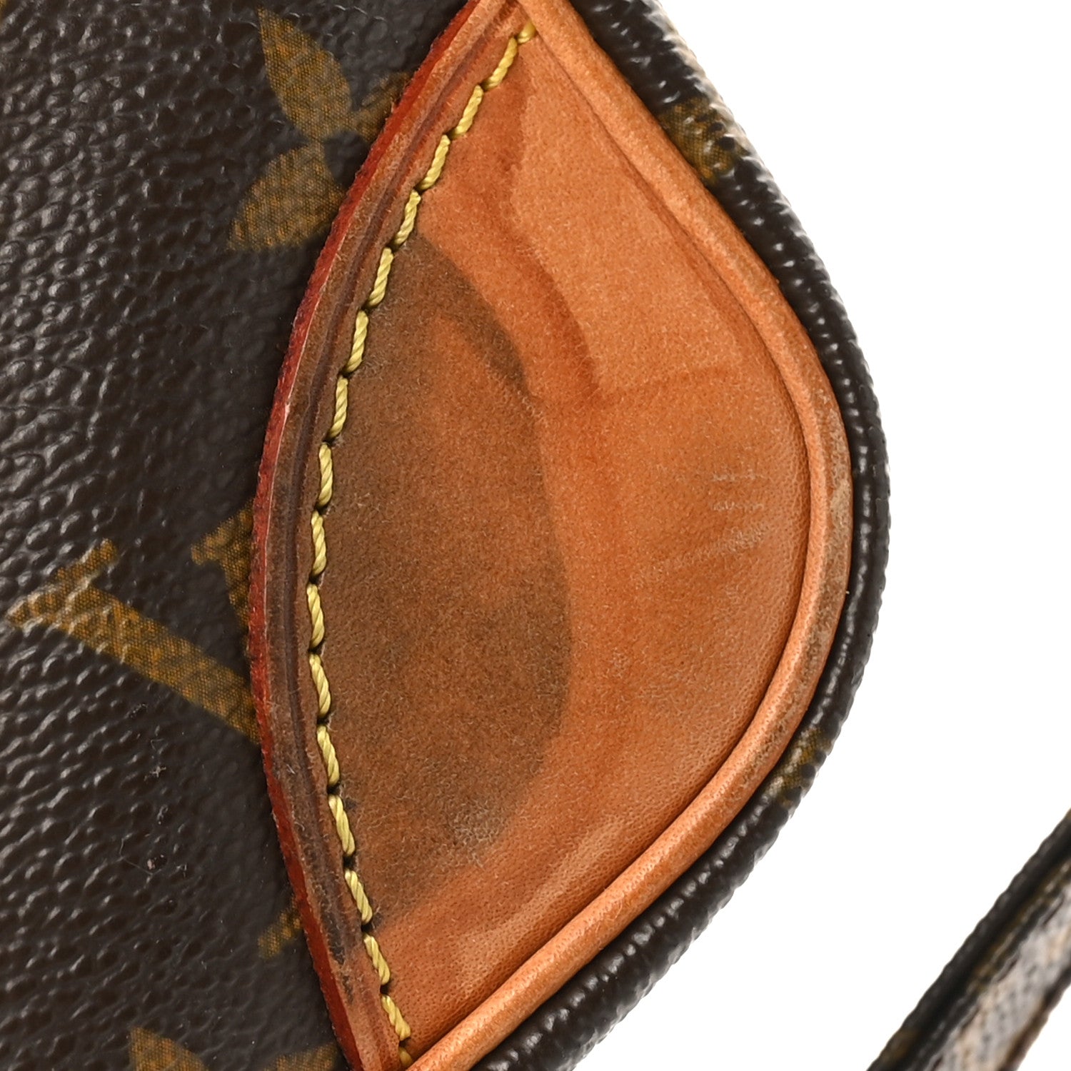 Louis Vuitton Monogram Danube 21